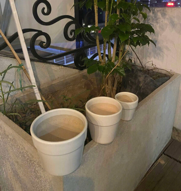 White Ceramic Trio - Hình ảnh 2
