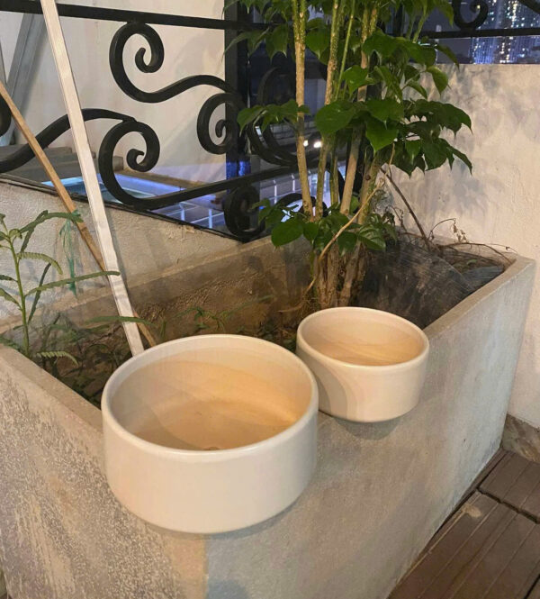 White Ceramic Pot