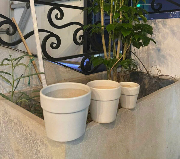 White Ceramic Trio